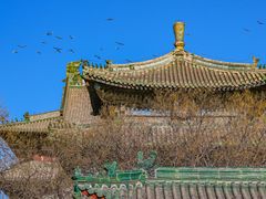 -隆兴寺