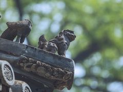 -潭柘寺景区