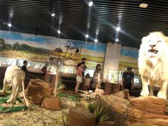 -陕西自然博物馆