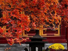 -香山公园