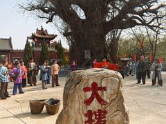 -大槐树寻根祭祖园