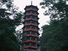 -红花山公园