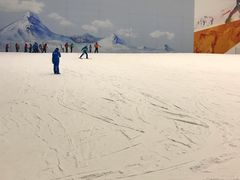 -哈尔滨热雪奇迹