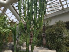 景点-西安世博园