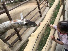 -西安秦岭野生动物园