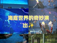 -石家庄极地海洋世界
