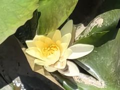 -前关湿地公园