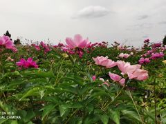 -金堂县云顶石城风景区