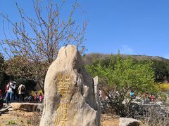 -北京西山国家森林公园