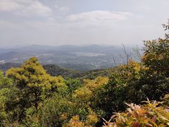 -广州市帽峰山景区