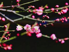 -颐和园