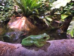 -正佳雨林生态植物园