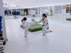 -极真空手道修远道场