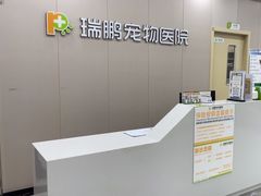 -瑞鹏宠物医院·骨外科·心肾科·肿瘤科(九亭店)