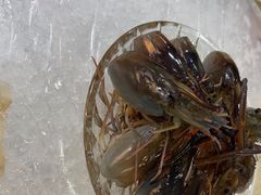 -明本海鲜大排档·鱼生海鲜烧烤宵夜(陈家祠店)