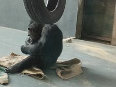 -无锡动物园·太湖欢乐园