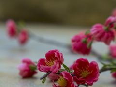 -天目湖御水温泉·度假酒店