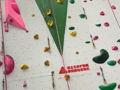 -绿壁虎攀岩基地(Tcar店)