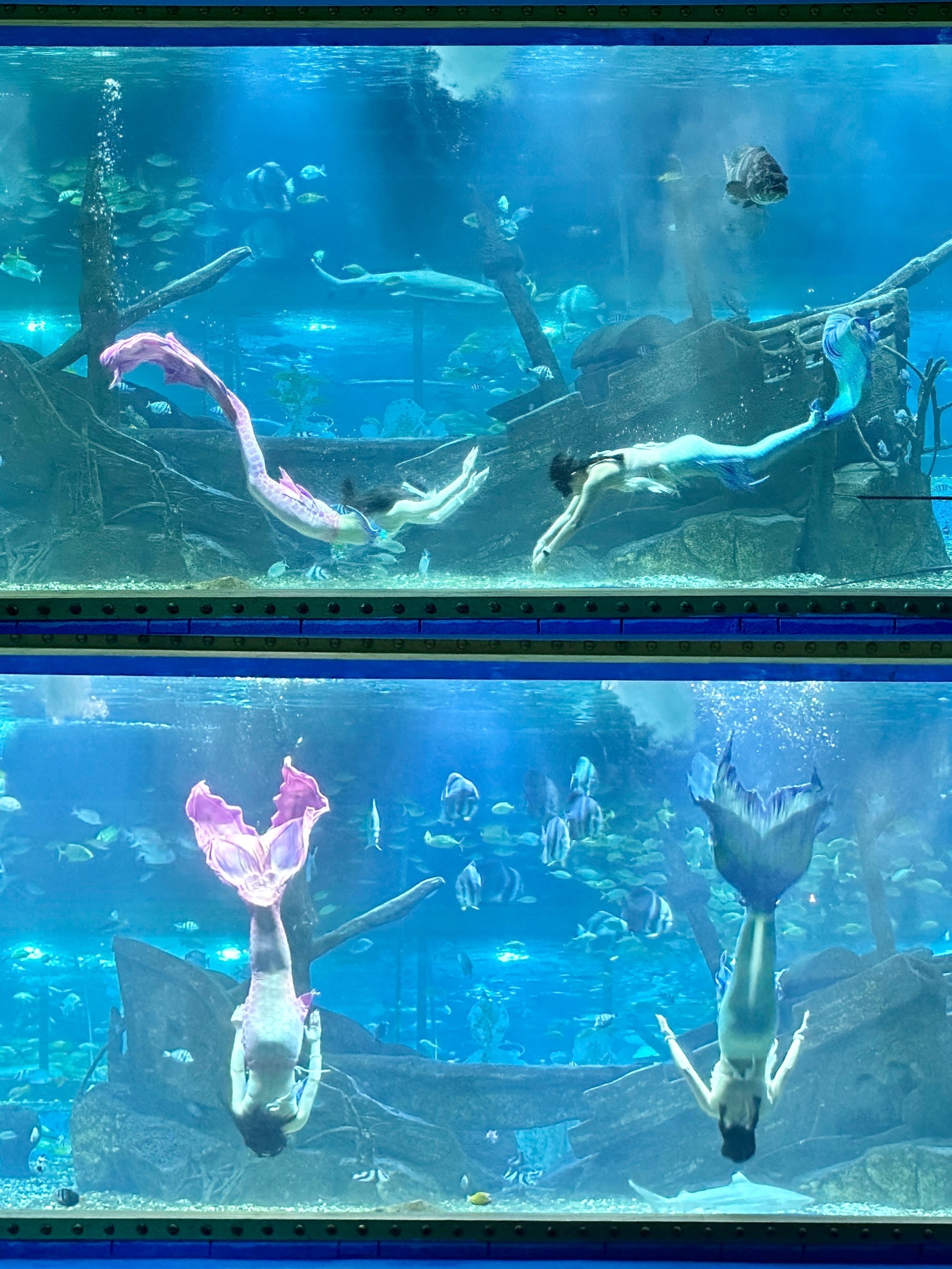 东莞,被问爆n遍的遛娃地方