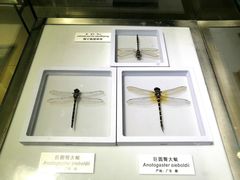 -上海昆虫博物馆
