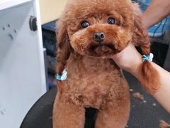 -中国联通(宜兴埠营业厅)