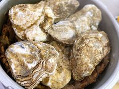 高压锅竹笼生蚝（20个大蚝）-一蚝一贝海鲜特色餐厅(万象城店)