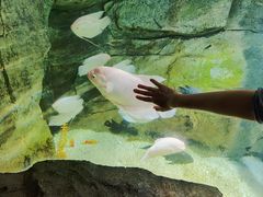 -泉城欧乐堡海洋极地世界