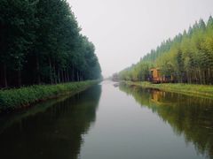 -黄海国家森林公园