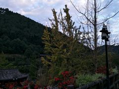 -楠柏弯休闲山庄(梨花溪店)
