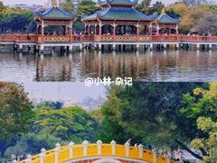 -中山公园