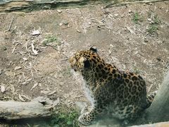 -福州动物园