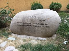 -武清南湖绿博园