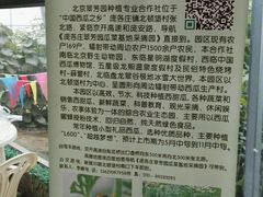 -庞各庄翠芳园西瓜蔬菜基地采摘园