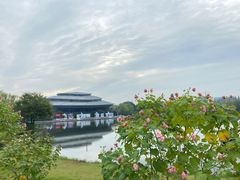 -杭州城北体育公园