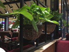 -高第街56号餐厅(银座商城玉函店)