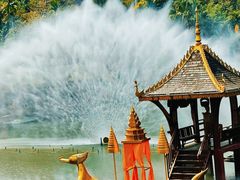 -西双版纳原始森林公园