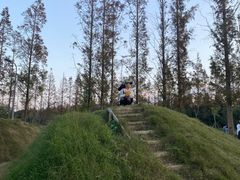 -前小桔亲子创意农场·草莓采摘·露营烧烤