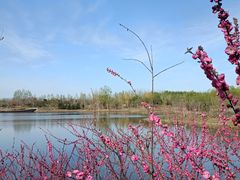 -东郊湿地公园