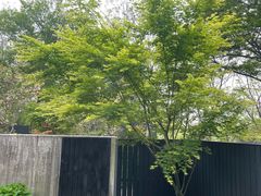 -木守西溪溪隐餐厅