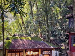 -都江堰普照寺