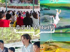 -佛冈森波拉度假区