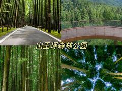 -山王坪喀斯特国家生态公园