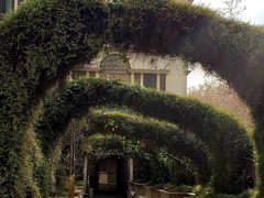 -伯衡55·吉品轩(乌鲁木齐南路店)