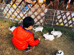 -上海长兴岛郊野公园