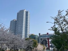 -白玉兰食品(甜云店)