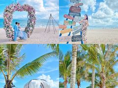 -玫瑰海岸文化旅游度假区