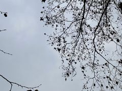 -成都动物园