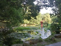 -东湖落雁景区