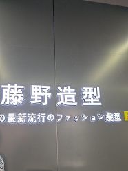 -藤野造型烫发染发