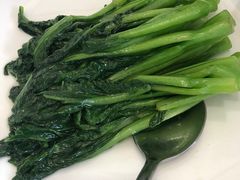 -食神鱼头佛跳墙(百子湾旗舰店)